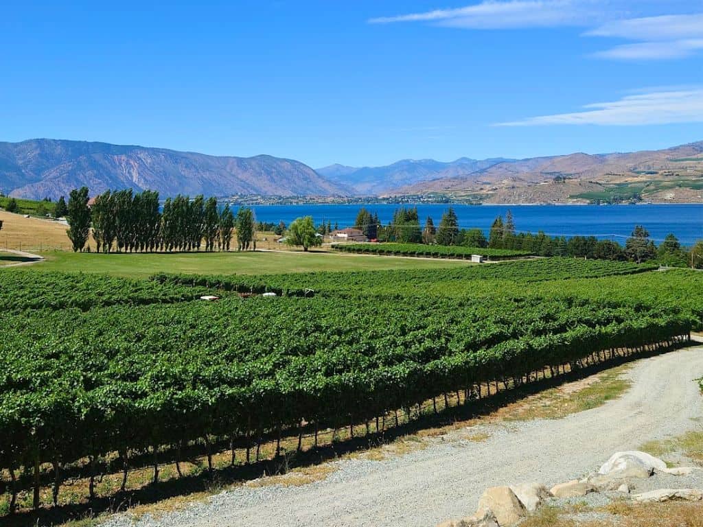 Vineyards on the slopes by Lake Chelan