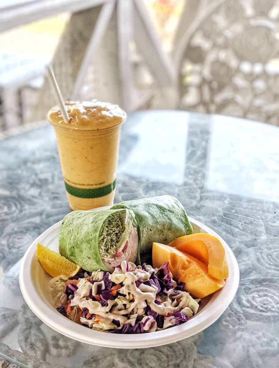 Fresh fruit smoothie and wrap plate from What's Shakin'