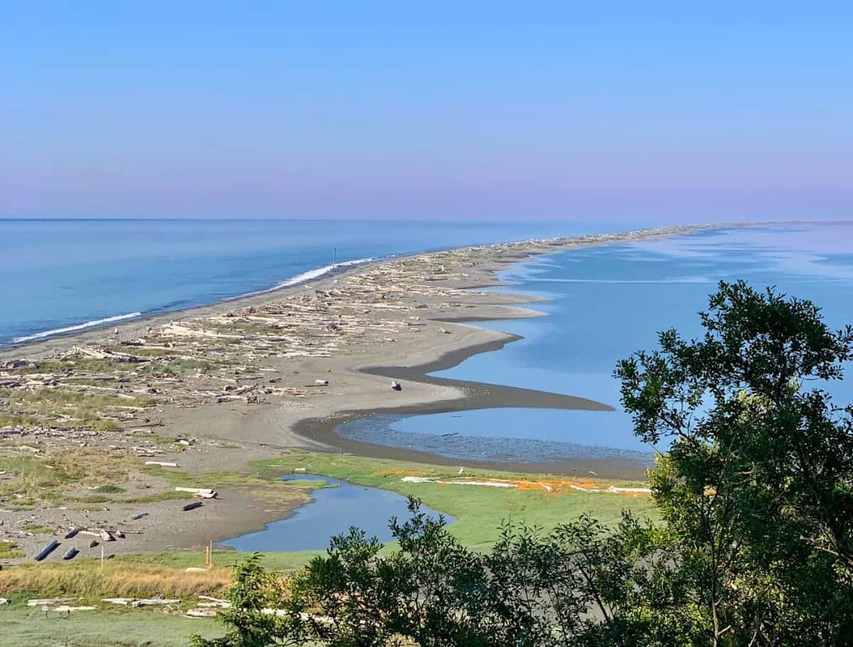 elevated view of Dungeness National Wildlife Refuge spit into the ocean. it's covered in driftwood and waves are crashing on the left side of the spit