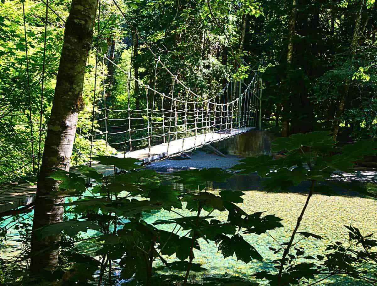 Grove of the Patriarchs suspension bridge over shallow, clear river below with river rocks showing through. bridge leads between two forests