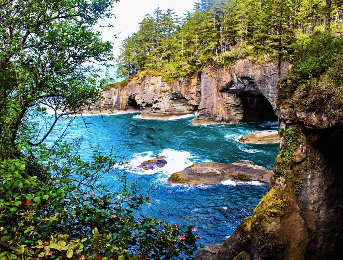 Cape Flattery: lookout into azure blue ocean cove with craggy cliffs and a sea cave surrounded by evergreen forest