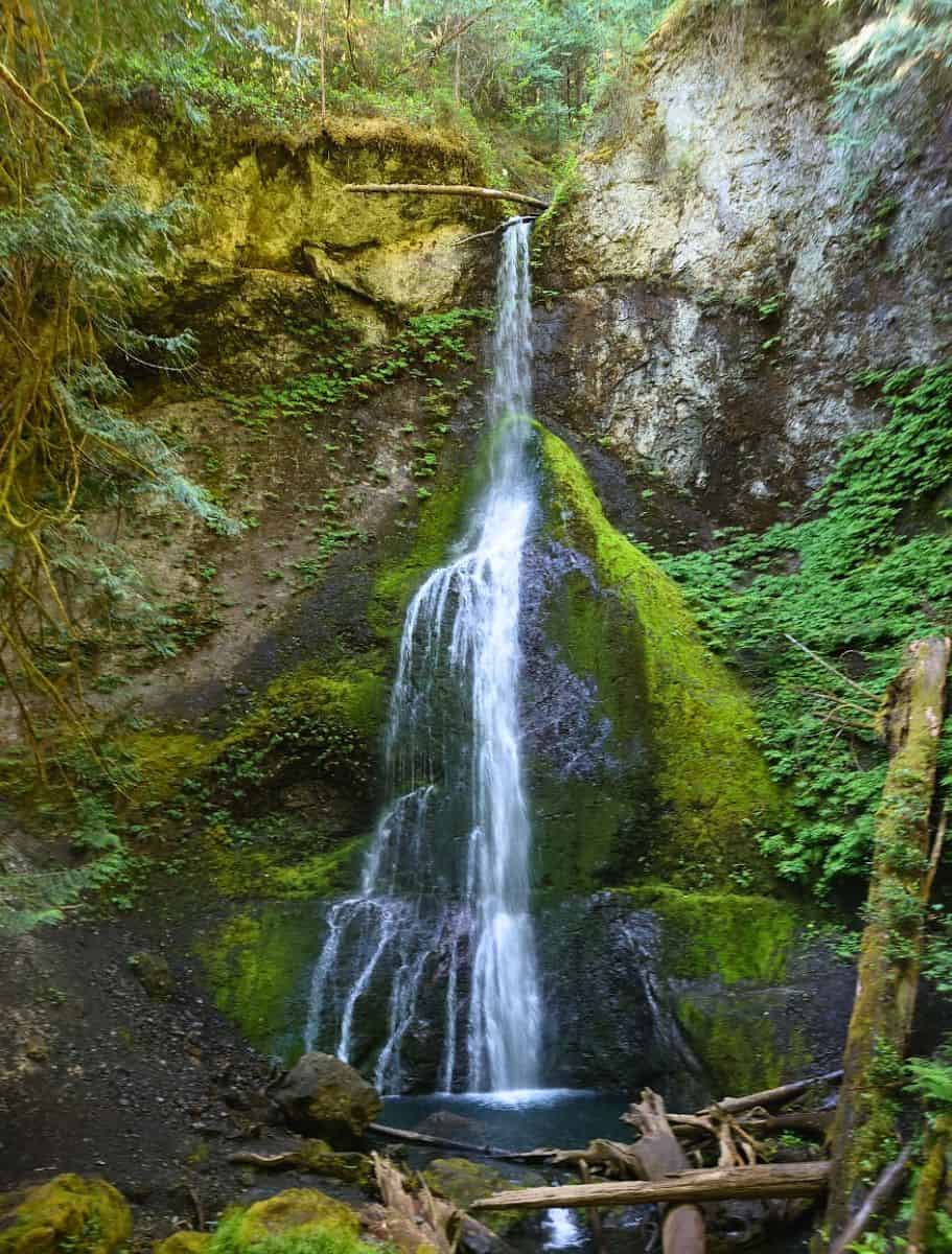 Marymere Falls cascading down a mossy and rocky cliff in the olympic forest