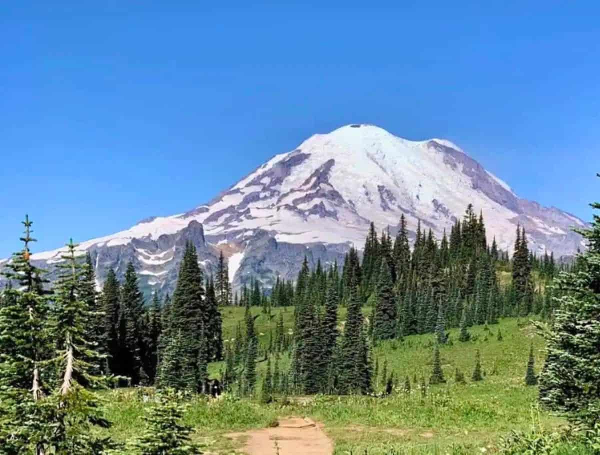 Mt Rainier from Naches Peak Loop with a valley of evergreen trees and green grass in foreground