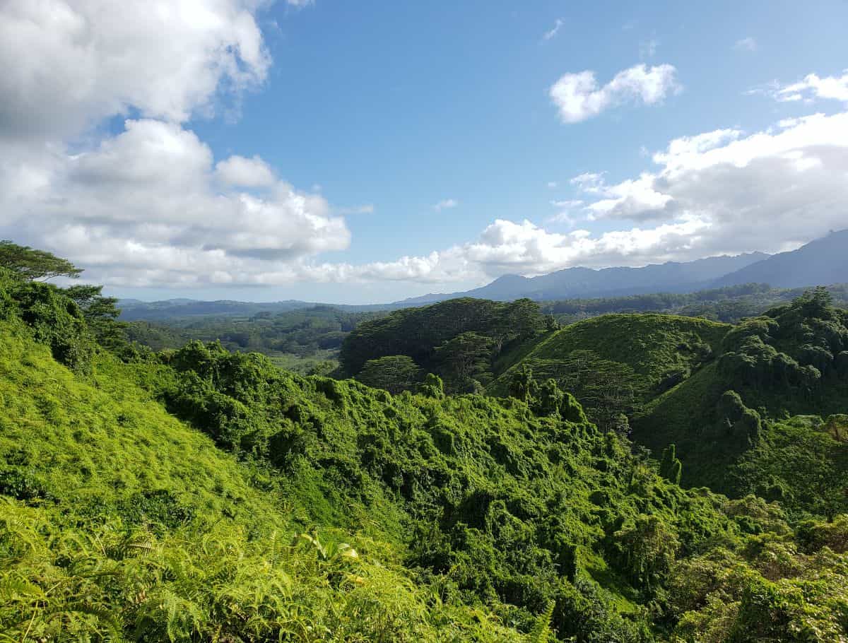 Lush green tropical valley with rolling hills and cloudy sky