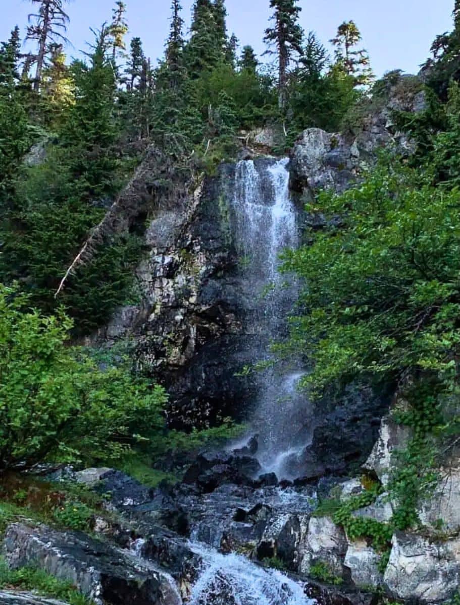 Snoqualmie Mountain Falls falling on cliff surrounded by green foliage
