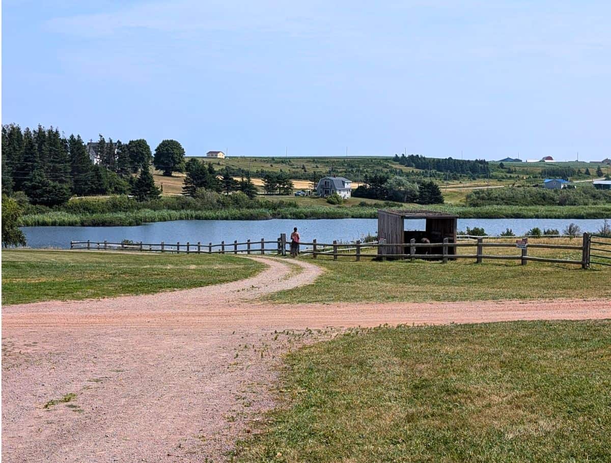 Campbell's Pond, the inspiration for the Lake of Shining Waters with horse fence in front and rolling farmland and houses behind pond