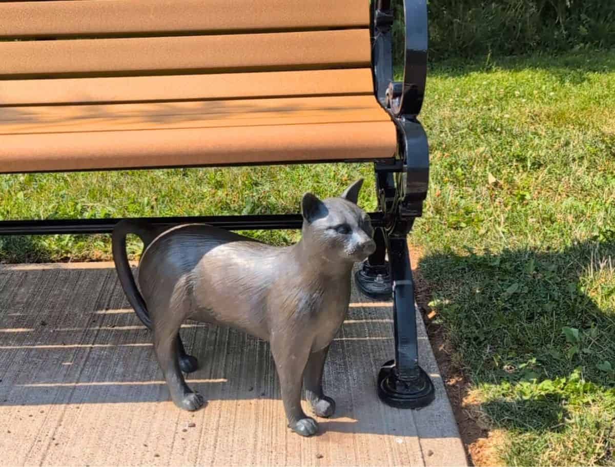 One of the cat statues by benches