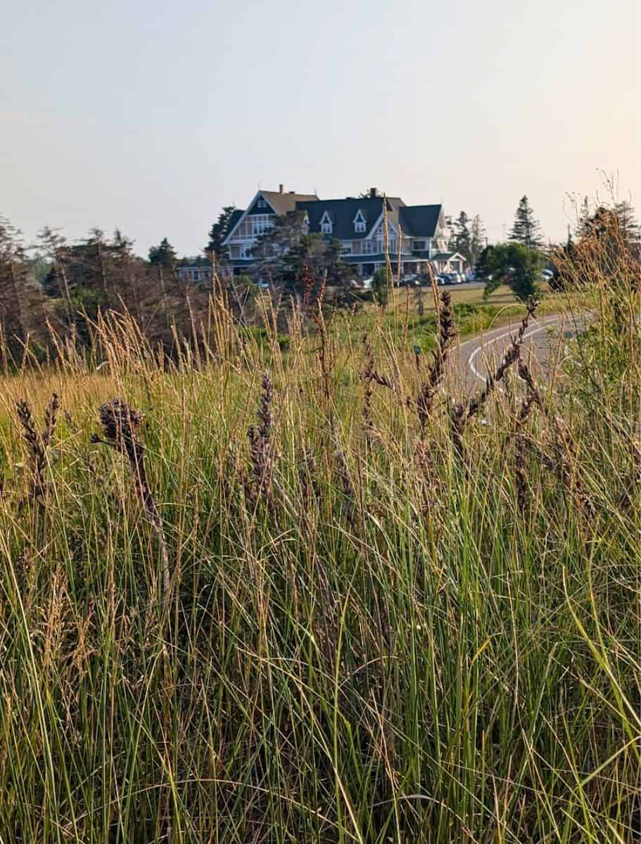 View of Dalvay by the Sea from the grassy dunes across the street