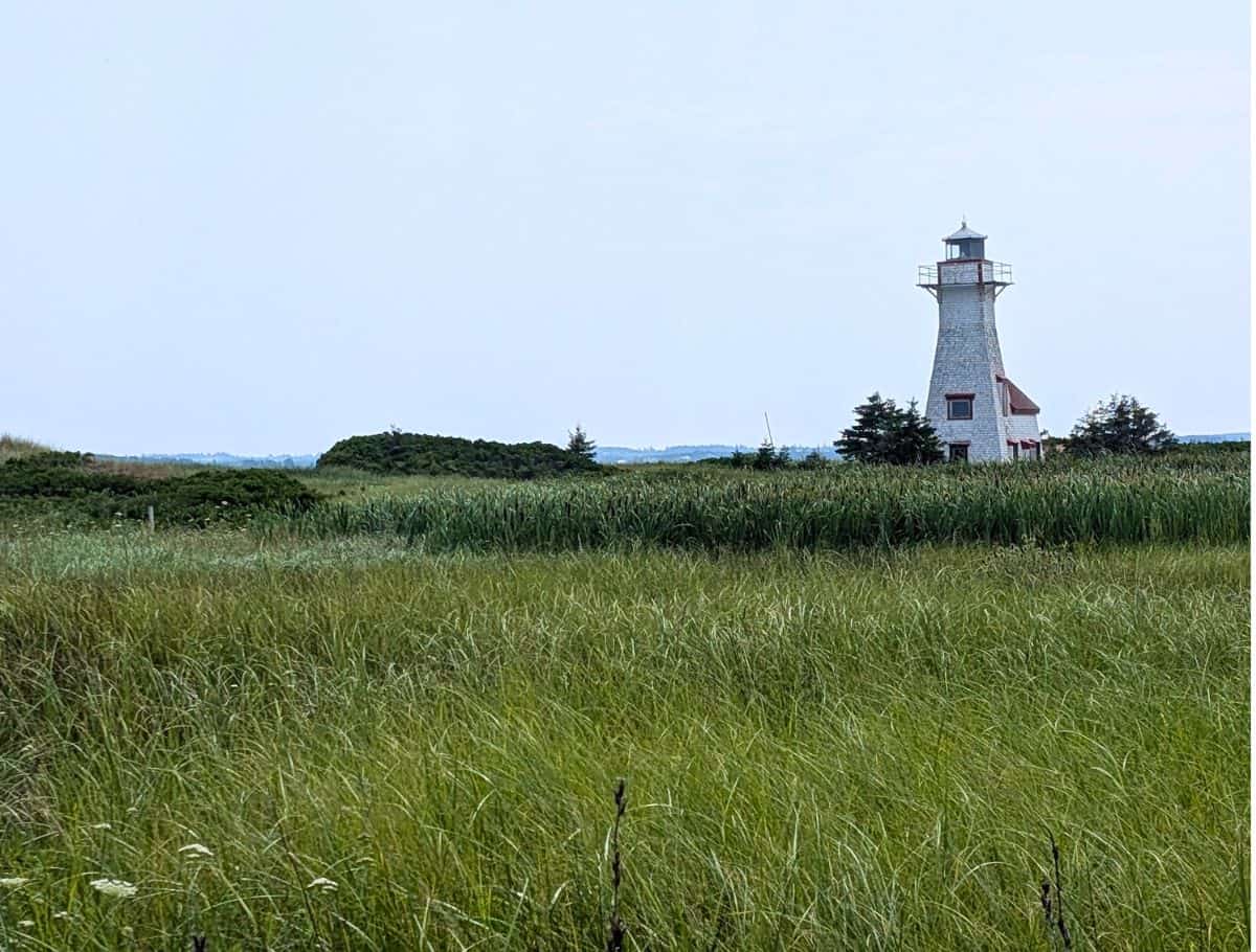 New London Lighthouse, white and red with tall grass field in foreground