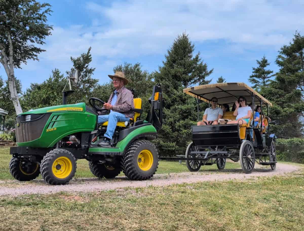 green Tractor carriage rides at the Anne of Green Gables Museum with people waving from the open air carriage