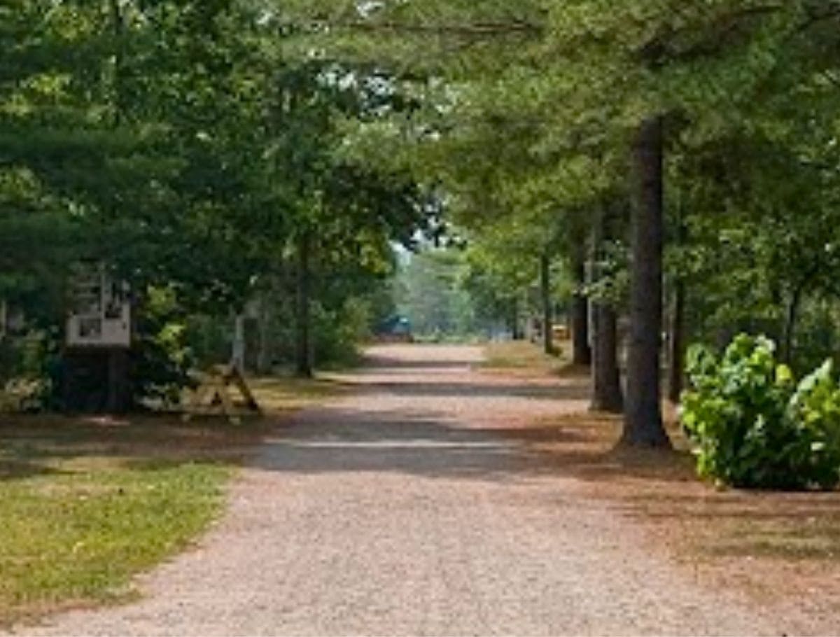 Possible wooded gravel lane lined with trees used for the pinecone scene in Anne of Green Gables