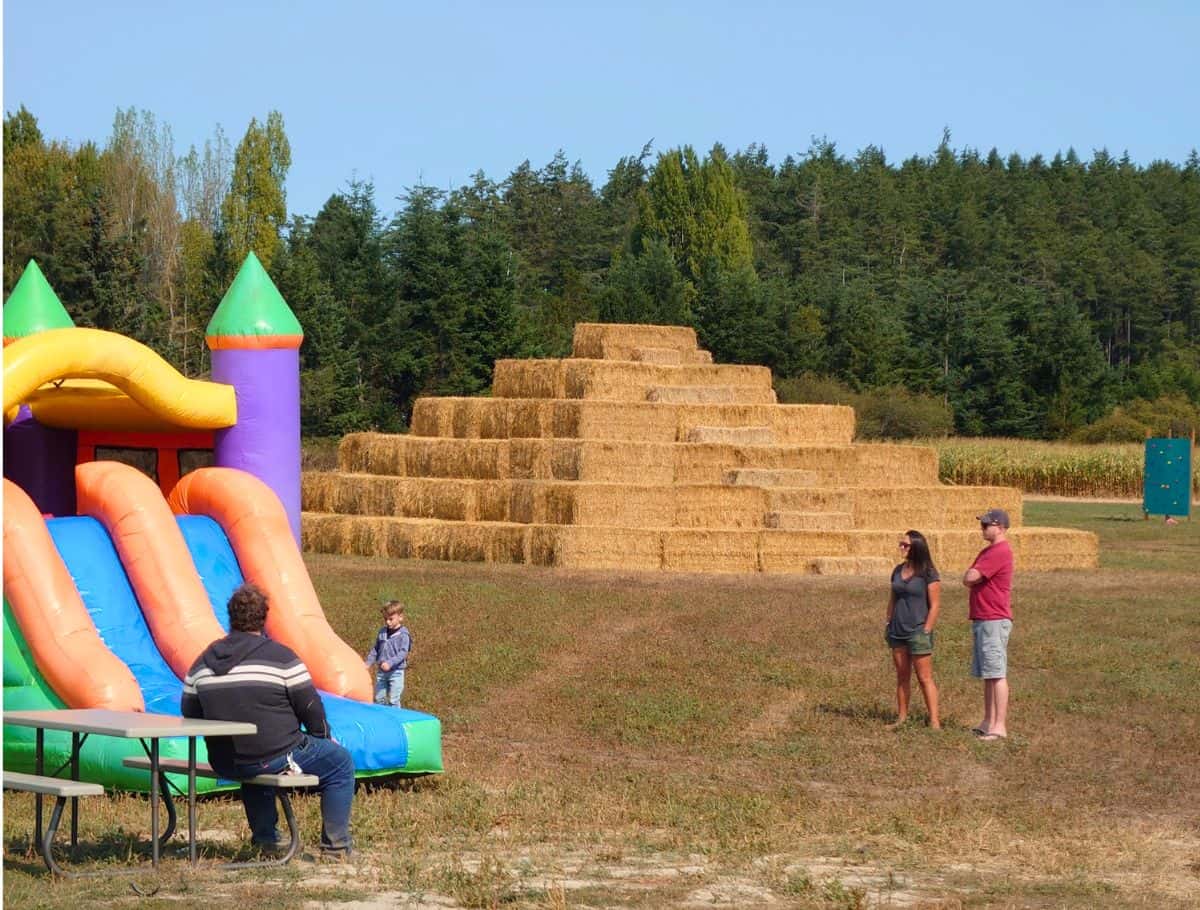 whidbey farm and market bouncy house and hay pyramid