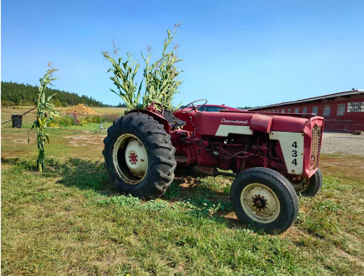 tractor on display at whidbey farm and market with hay pyramid in background