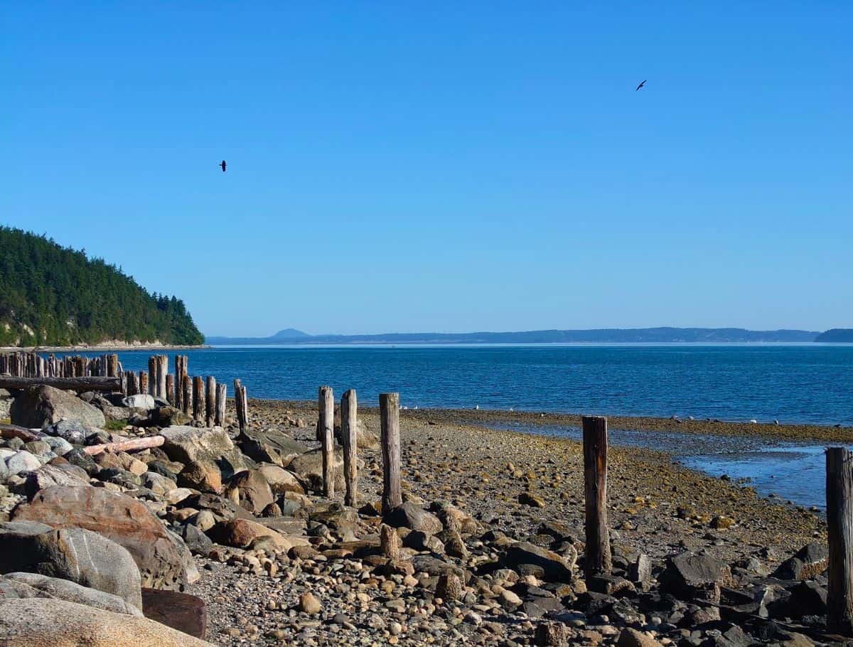Rocky shoreline with weathered wooden posts stretches along calm blue water with forested land in the distance under a clear sky. This rugged coastal view shows a peaceful place to wander during a weekend on Whidbey Island.